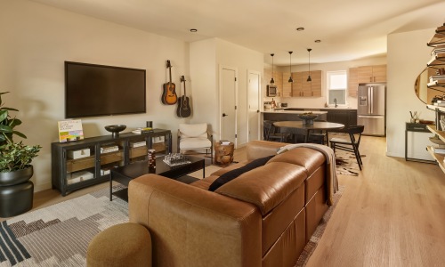 living room with couch chairs and tv